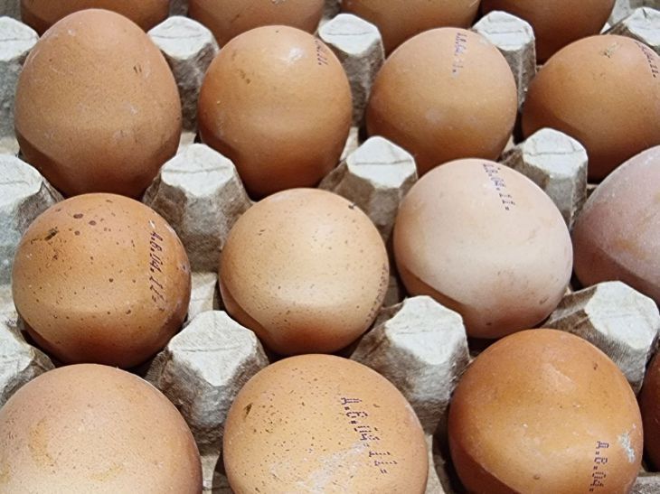 С начала года Беларусь в 2 раза нарастила поставки куриных яиц в Россию