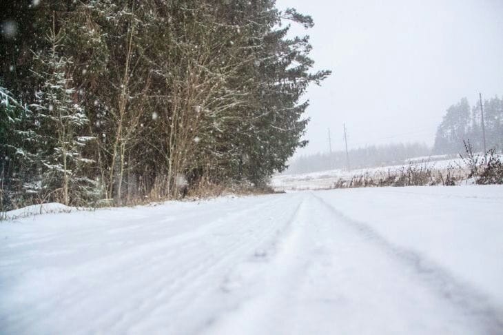 Какой сегодня праздник: 15 января 2024 года Зима