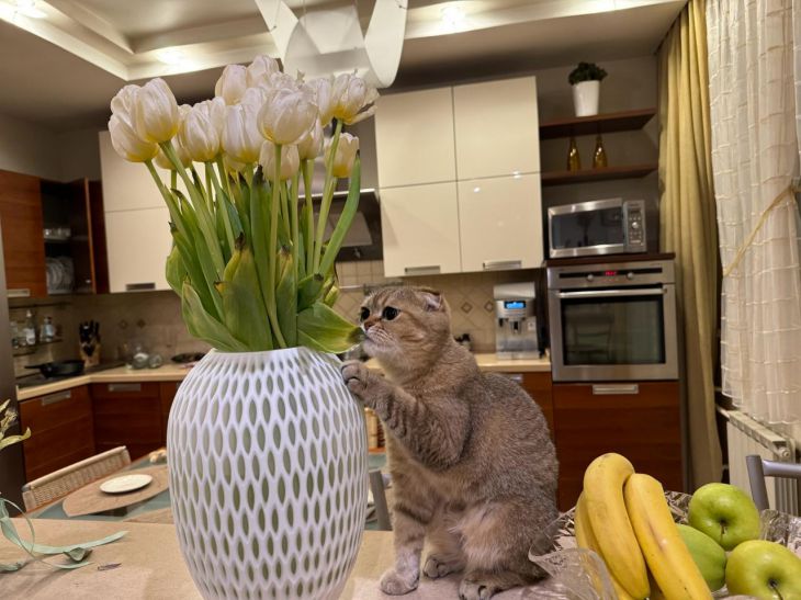 Как добиться идеального уровня влажности без специальных приборов: не все хозяйки знают квартира