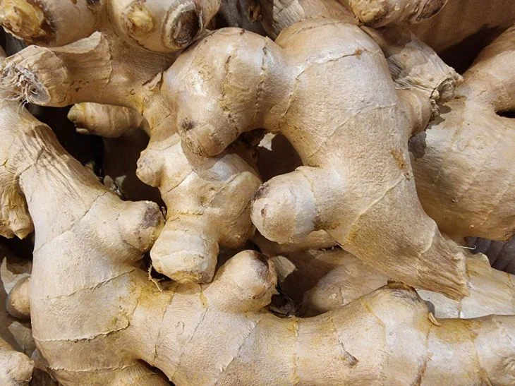 Что съесть, чтобы прожить до 100 лет? Секреты рациона долгожителей Имбирь