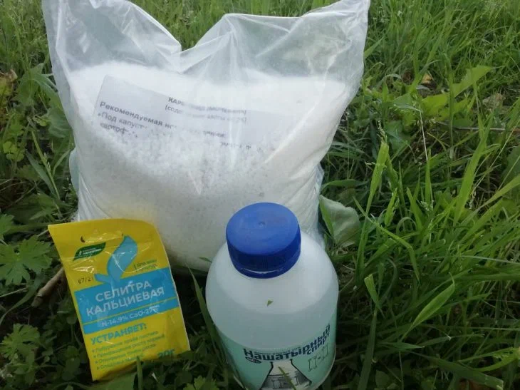 Как удобрять плодовые деревья и кустарники ранней весной: секреты здорового и цветущего сада Удобрения