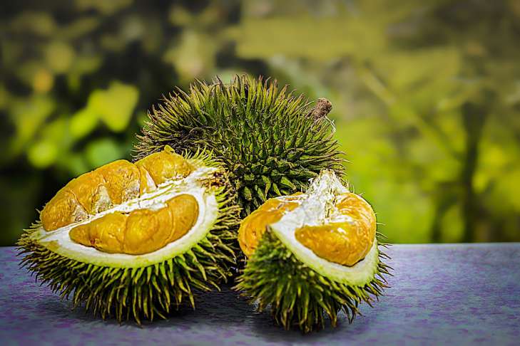 Durian: Health Benefits – Nutritionist's Opinion fruit