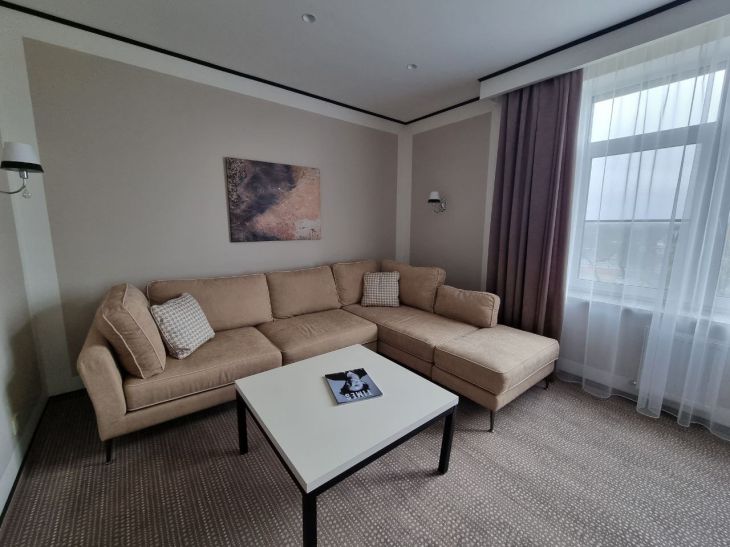 Как выбрать шторы в гостиную: на что обратить внимание при покупке Гостиная