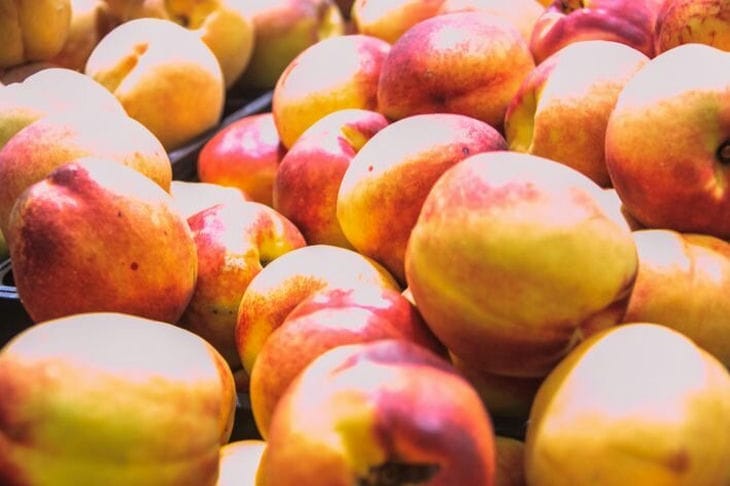 Проще, чем вы думаете: как вырастить персик из косточки – садоводы поделились секретами Персики