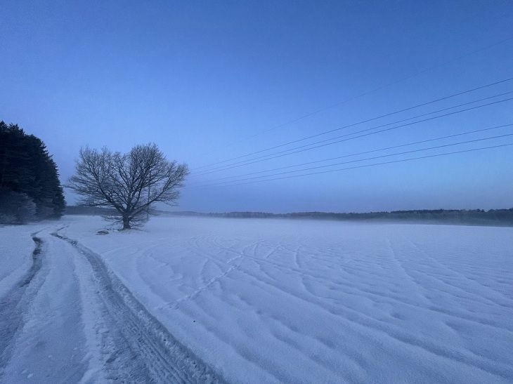 поле