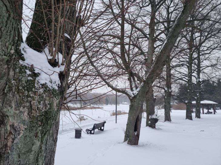 Сильный ветер, гололедица, желтый уровень опасности: какой погоды ждать белорусам 17 февраля парк