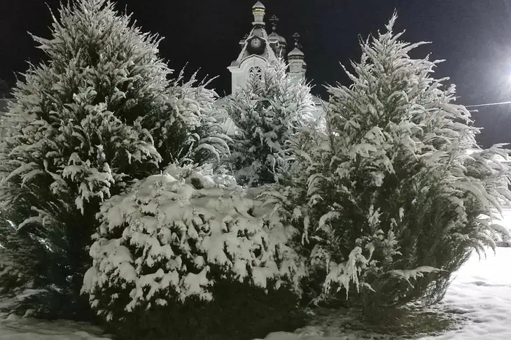 Какой сегодня праздник: 3 февраля 2024 года Природа