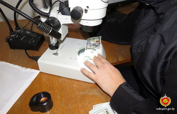 Гражданин России прибыл в Беларусь для покупки авто за фальшивые доллары деньги