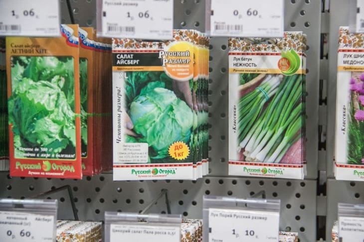 В чем замачивать семена перед посадкой: новичкам на заметку Семена