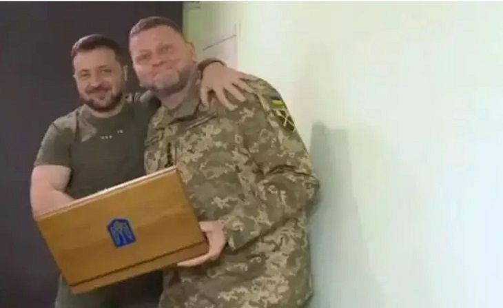 Зеленский и Залужный