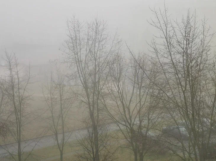 Дарья Грязная: что можно и нельзя делать 1 апреля 2024 года Природа