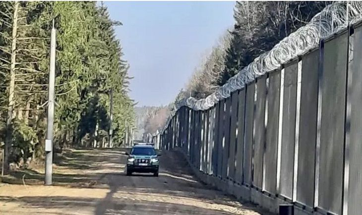 В Минприроды Беларуси предупредили: польский забор в Беловежской пуще представляет серьезную угрозу