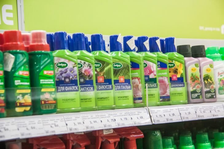 Точно зацветет: хозяйки показали, чем нужно поливать цветок Удобрения