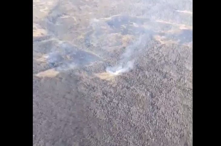 В Беларуси зафиксированы первые в этом году лесные пожары