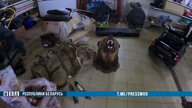 Группировку браконьеров задержали в Беларуси: они использовали вертолет