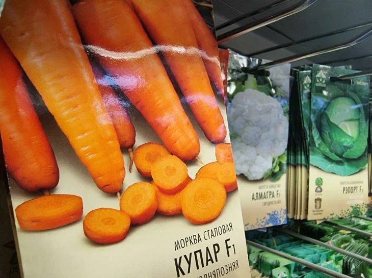 Оказывается, многие неправильно едят морковь: вот как нужно для лучшего усвоения витаминов Морковь