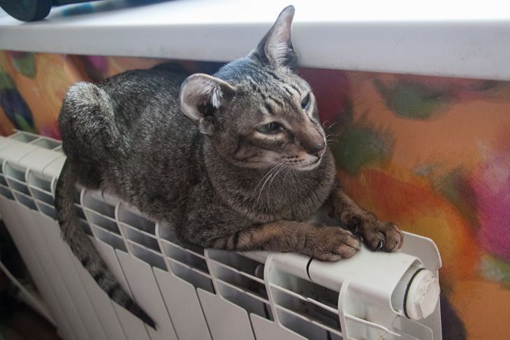 В каких районах Беларуси уже начали отключать отопление, рассказали в МЖКХ батарея