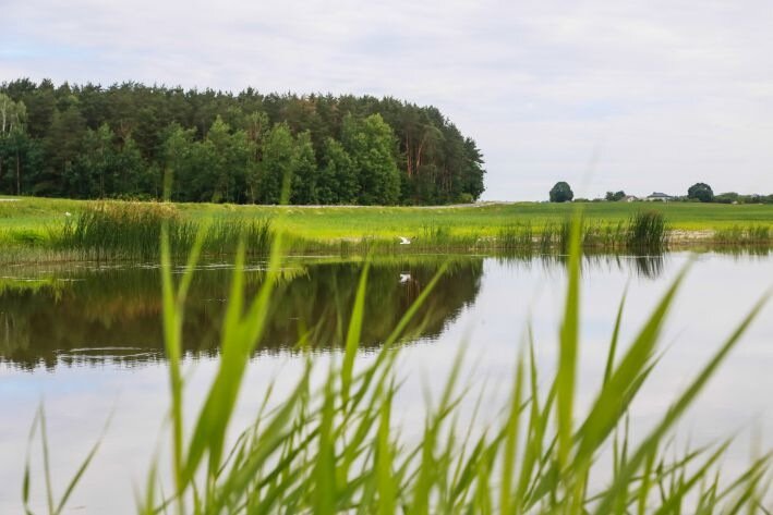Никита Водопол: что можно и нельзя делать 16 апреля 2024 года Озеро