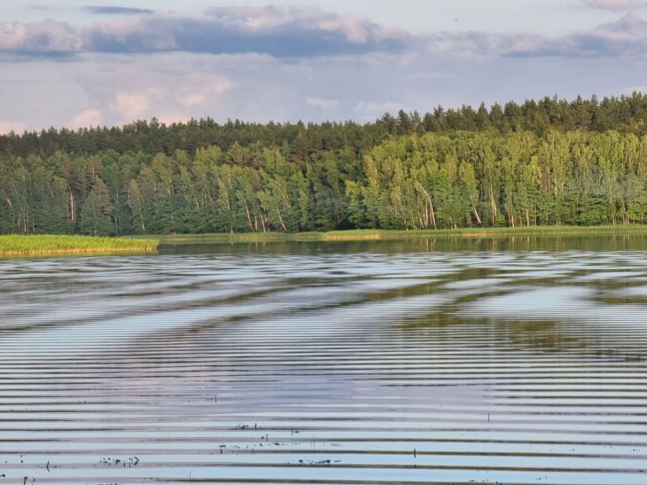 Белгидромет: на реках Беларуси наблюдается рост уровней воды с интенсивностью до 38 см за сутки
