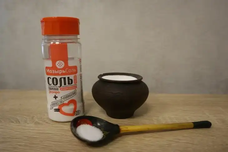 Как замариновать продукты в соленаде: новое слово в кулинарии Соль