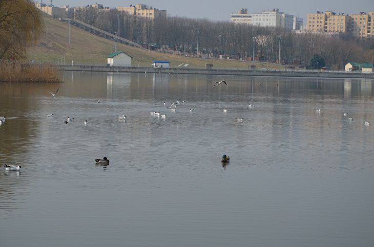 Температура воздуха в Беларуси в последней декаде марта была на 5,1 градуса выше нормы