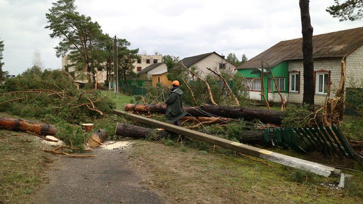 Оранжевый уровень опасности объявлен в Беларуси на 14 апреля дерево