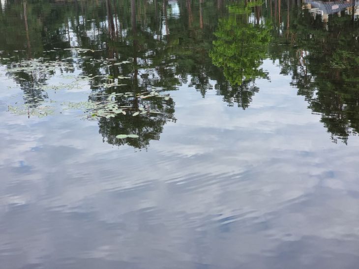 На 20 сантиметров: уровень воды на Припяти у Петрикова превышает опасную высокую отметку