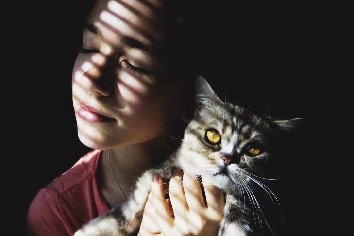 Why does a cat lie on its owner’s stomach: what does this behavior show in your pet pet