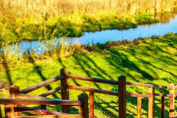 Федотов день: что можно и нельзя делать 31 мая 2024 года Природа