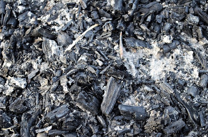 Каким растениям опасна зола: особенности и рекомендации зола