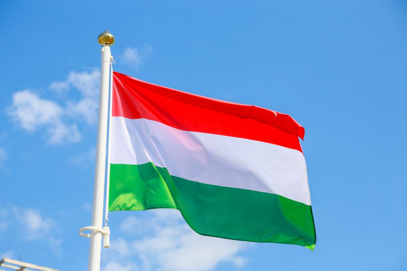 На севере Венгрии столкнулись катер и пассажирский теплоход: есть погибшие