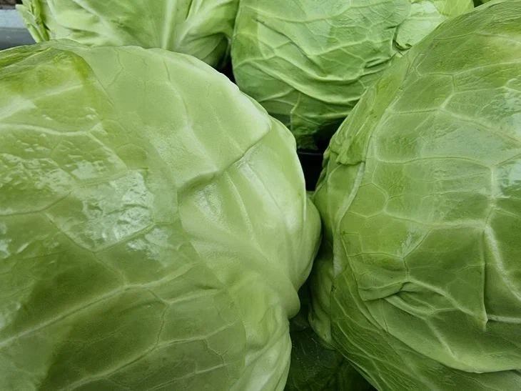 Какой продукт обновляет организм: врач рассказала, что и так всем известно Капуста