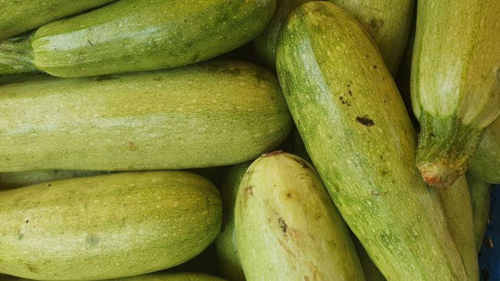 Какие растения нельзя сажать рядом с кабачками: лишитесь урожая кабачки