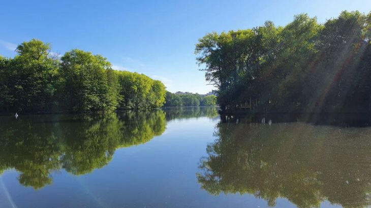 Гороскоп советов на июнь 2024 года для всех знаков зодиака лето