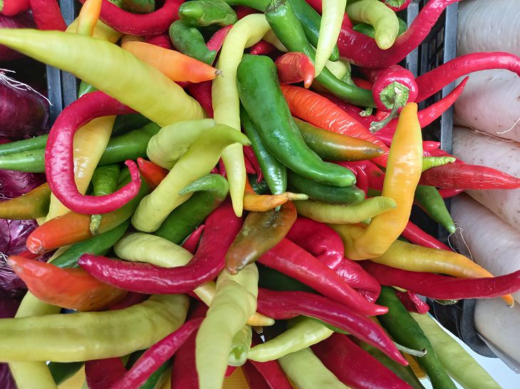 How to water chili peppers correctly: useful tips vegetables