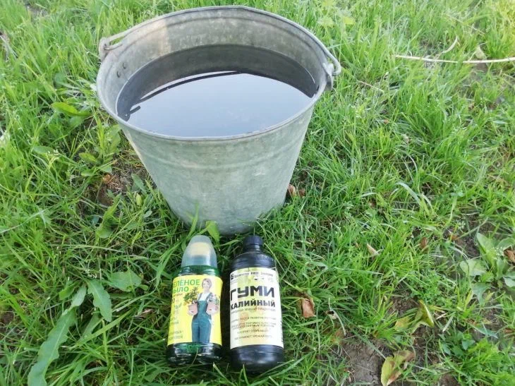 Вода Удобрение