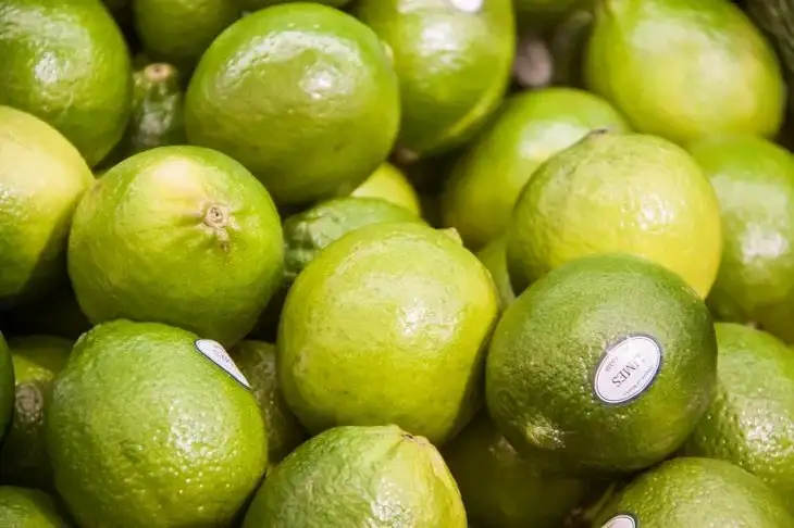 Есть ли польза от детокса: разбираемся, стоит ли устраивать себе разгрузочные дни Фрукты