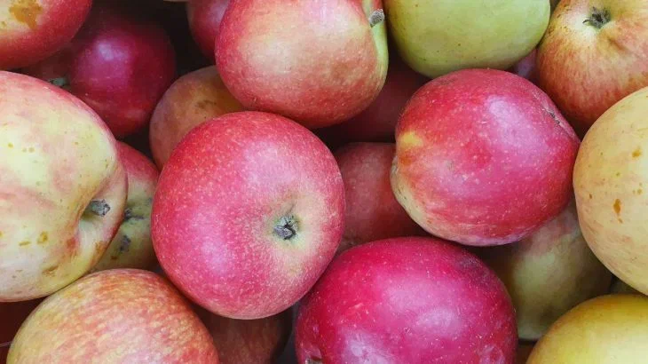 Почему нельзя начинать прикорм ребенка с яблок: на это есть 3 веские причины Яблоки