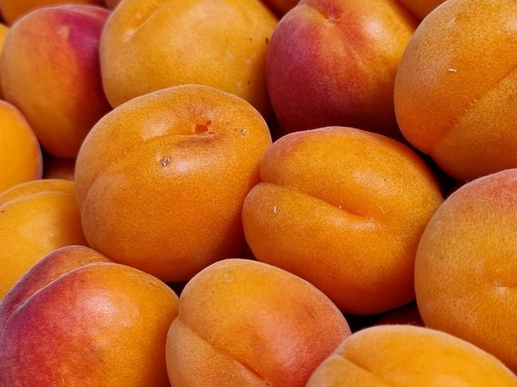 Healthiest fruits to eat: useful information fruits