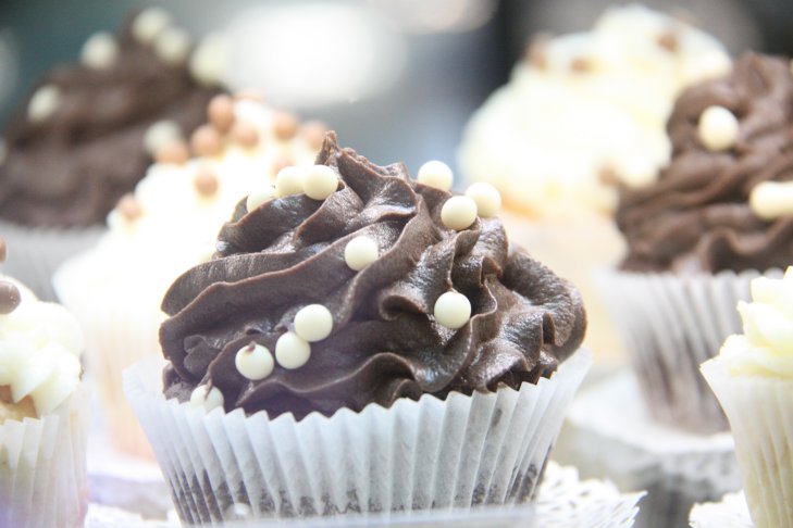 Какие продукты опасны для собак: спрячьте их подальше от питомца продукт