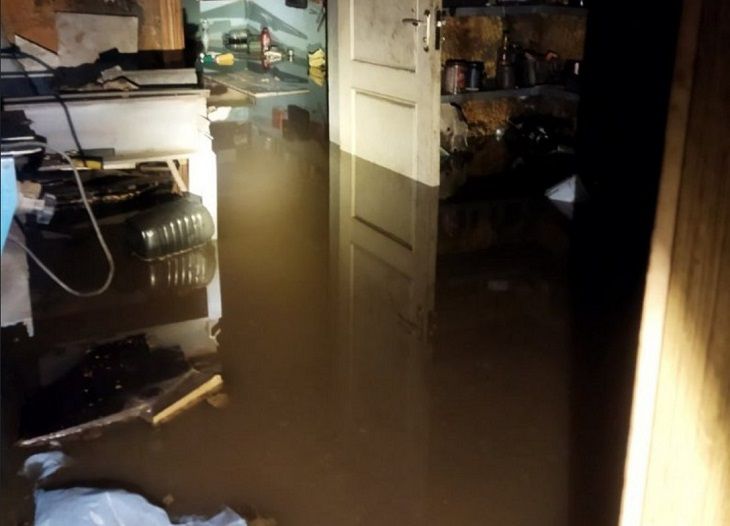 Падали деревья, затапливало дома. Беларусь пережила очередной удар лютой стихии дом