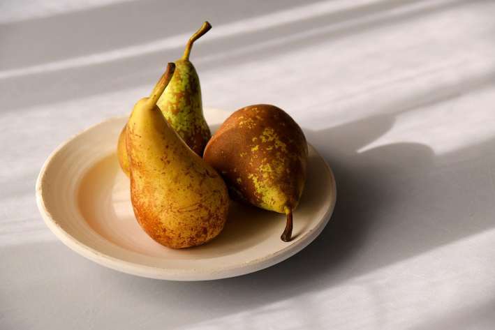 Can Dogs Eat Pears According to Vets fruits