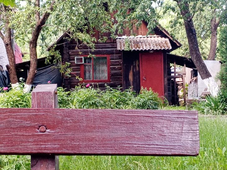 Как защитить дачу от крыс: названы проверенные способы дача