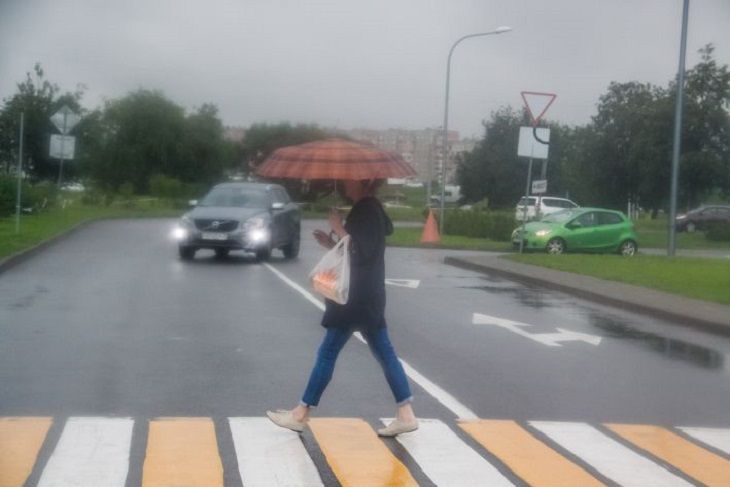 Дожди, грозы, сильный ветер. Такой выдастся пятница, 27 сентября, в Беларуси человек