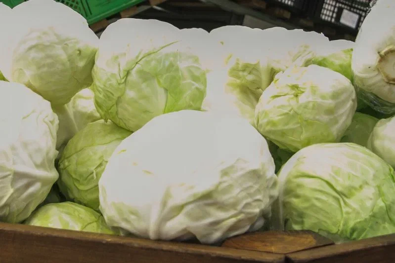 Что приготовить из капусты: вкусная диетическая запеканка на ужин Капуста