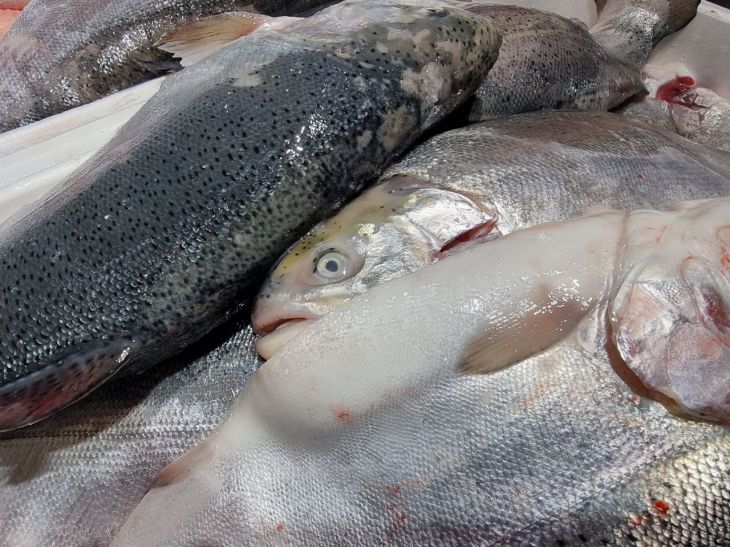 Как пожарить рыбу с хрустящей корочкой: опытные кулинары раскрыли 3 секрета рыба