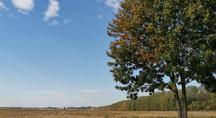 Народные приметы на 5 сентября 2024 года: что указывает на теплую осень и холодную зиму природа