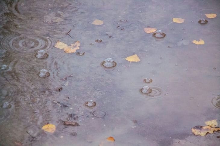 Какой сегодня праздник: 6 октября 2024 года Лужа