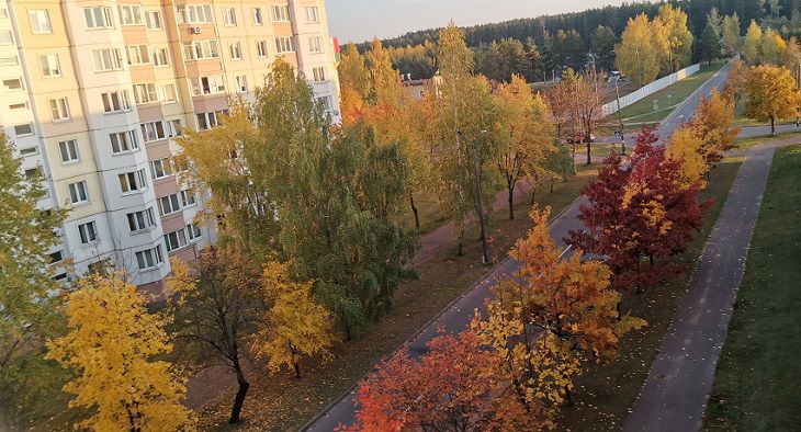 Белгидромет: осень продолжит радовать белорусов комфортной погодой Минск