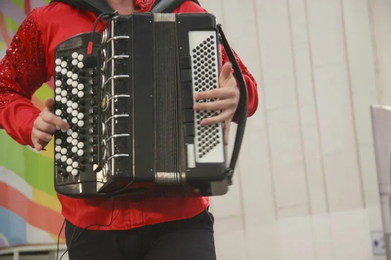 Что делать, если в голове засел популярный мотив: простой способ выключить музыку Баян